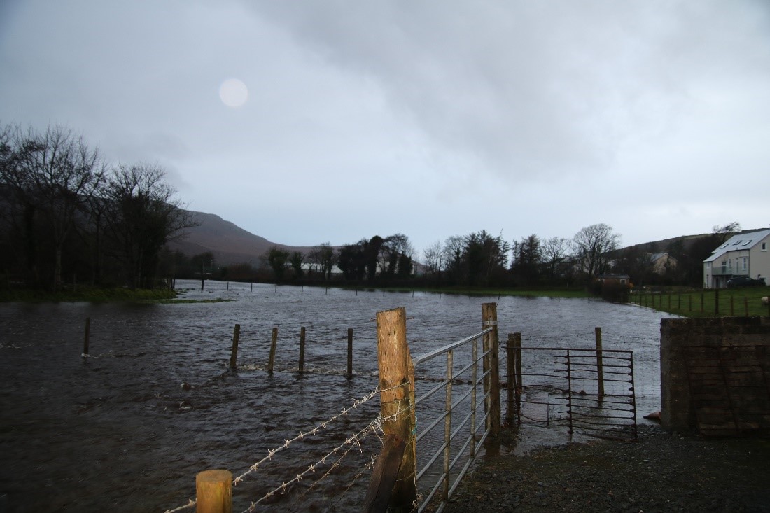 Pictures taken days after the Donegal event on a local farmers land after being flooded by the nearby river.