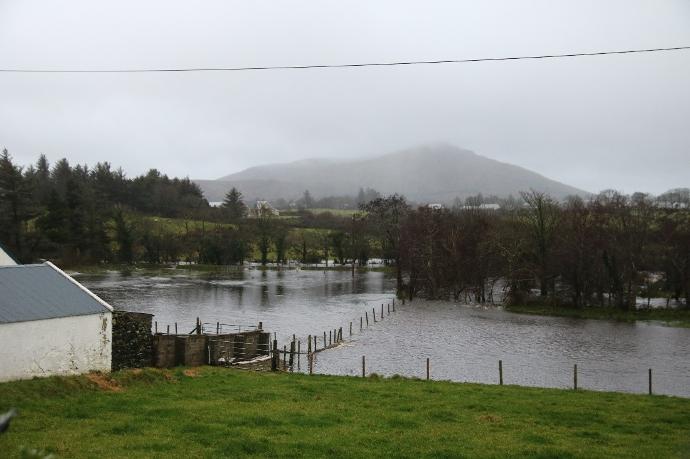 Pictures taken days after the Donegal event on a local farmers land after being flooded by the nearby river.
